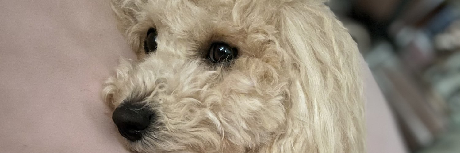 aprilshepherdx's profile banner image