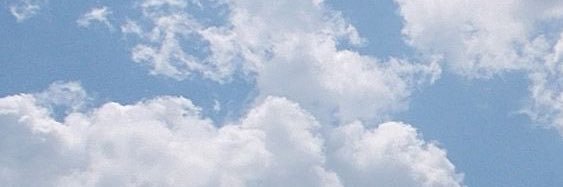 allieeemurphy's profile banner image
