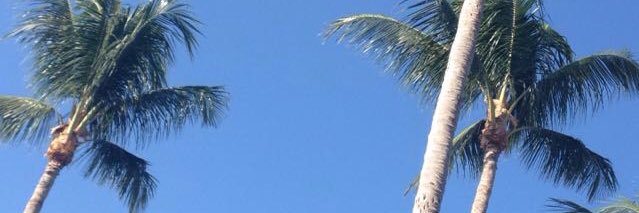 justin8224's profile banner image