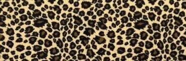 mariaehc_'s profile banner image
