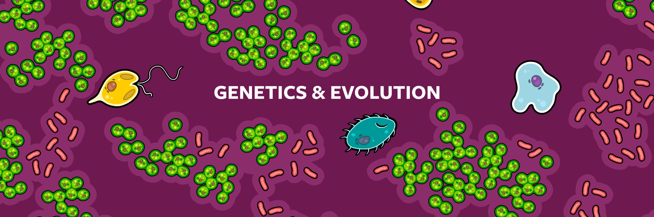 Stated Clearly - Jon Perry banner