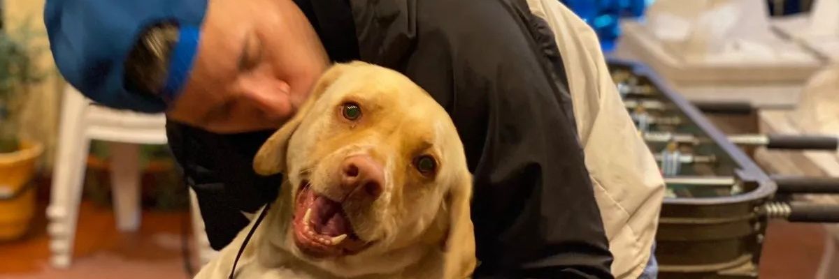 agusramirez_'s profile banner image