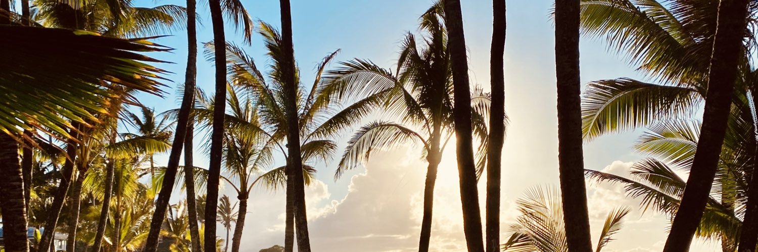 Hailey MacKay banner