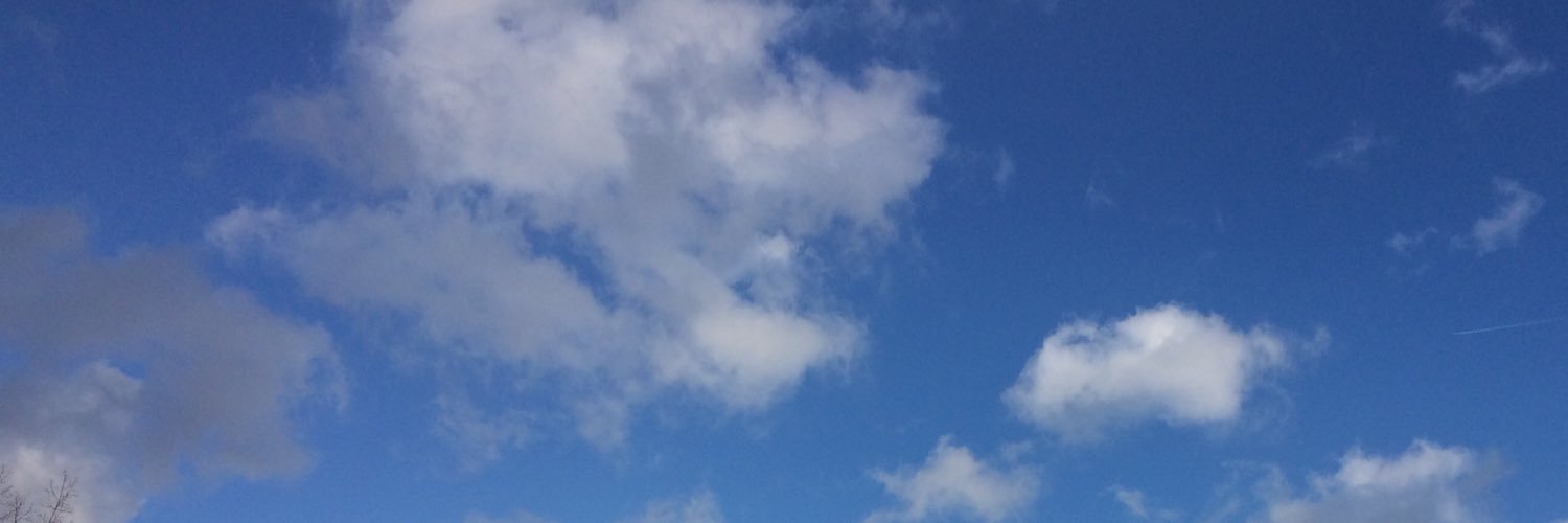 MaryKaszynski's profile banner image