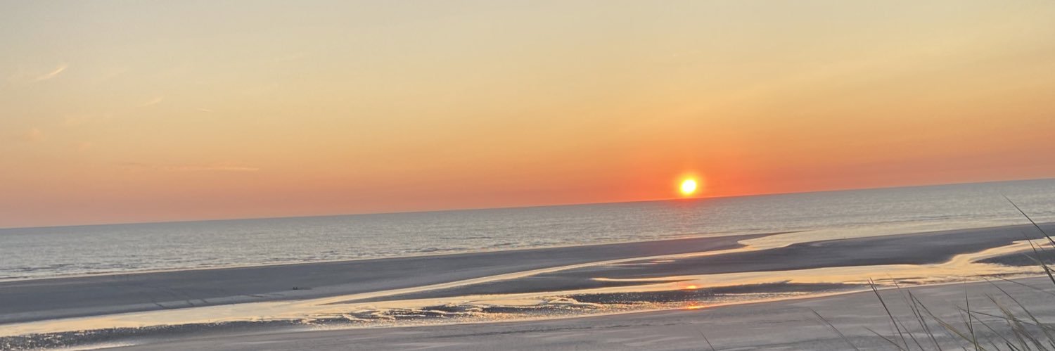 MarieReva2's profile banner image