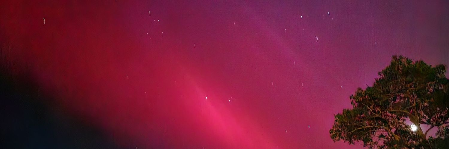 bearbmd's profile banner image