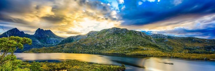 aly_amapolas73's profile banner image