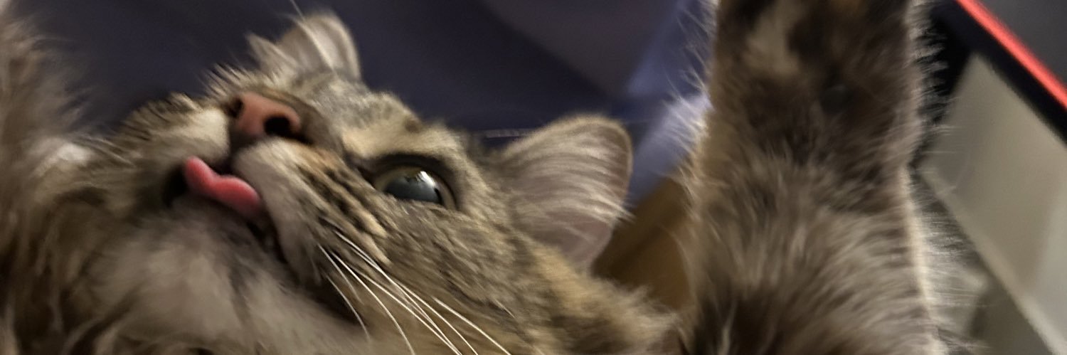GarciaChels's profile banner image