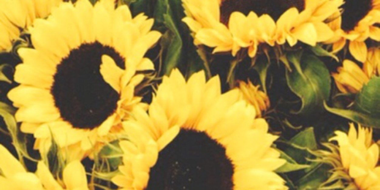 Sydnee Geril banner