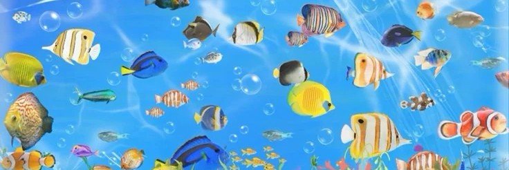 seuljirachi's profile banner image