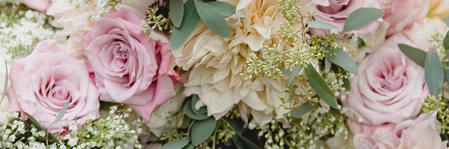Kaci Yoder🌿 banner