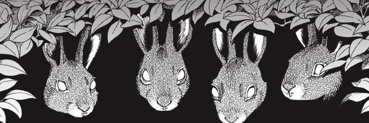 el payaso de dios: military wife the story goes on banner