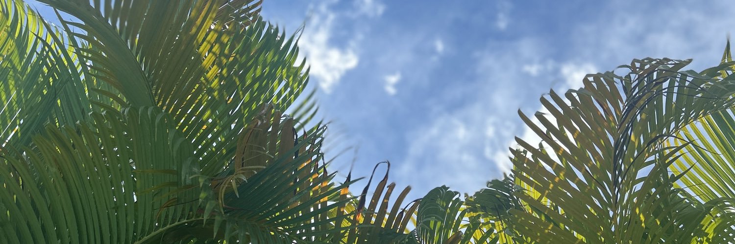 anerisvv's profile banner image