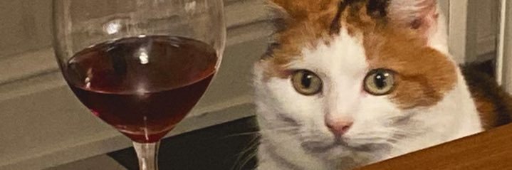 suhhaleyy's profile banner image