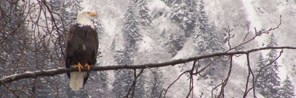 BoBoudart's profile banner image