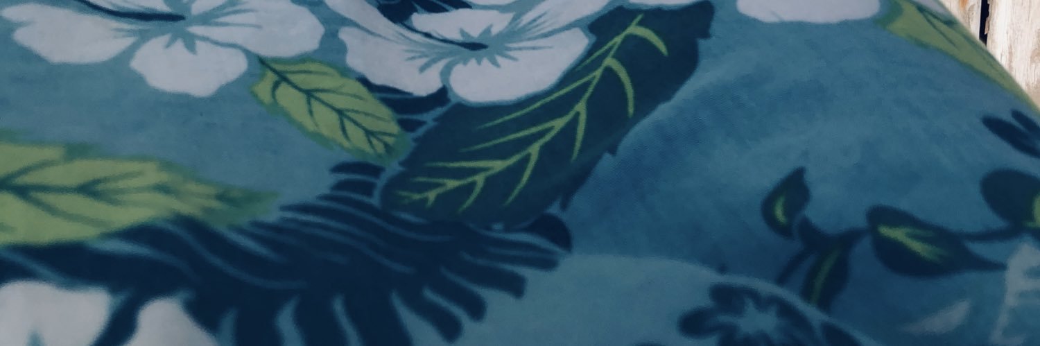 rochicorral's profile banner image