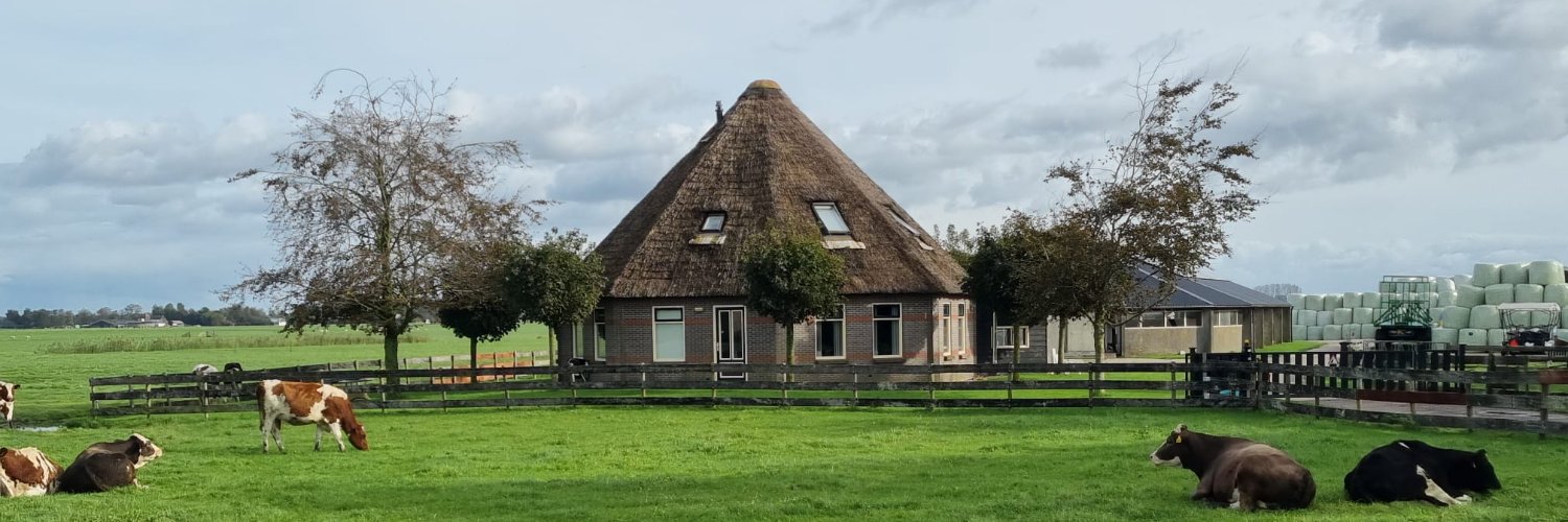 Grasbaal's profile banner image