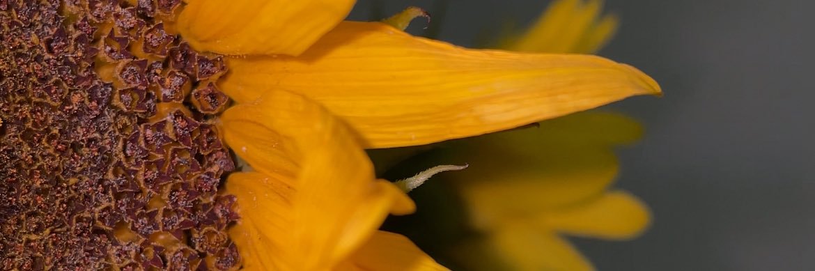 PamerodriSe's profile banner image