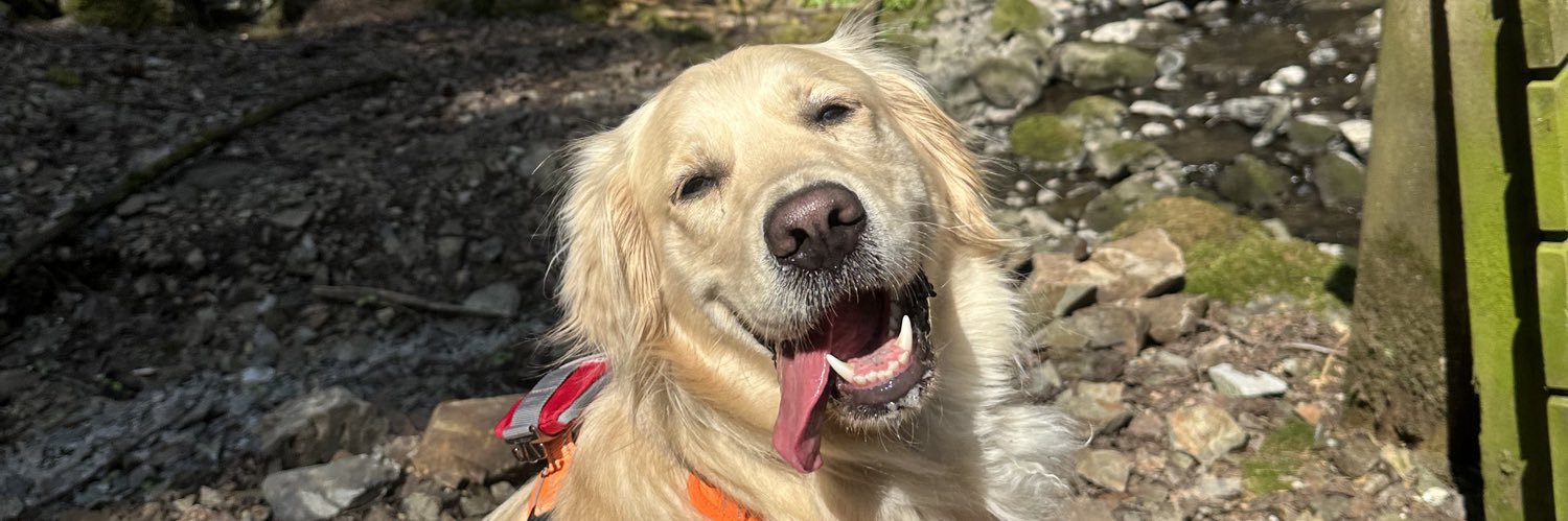 Lise @ Kahoot banner