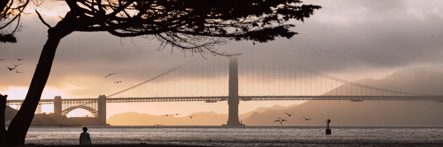 loggie17's profile banner image
