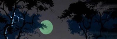 Zesh44n's profile banner image
