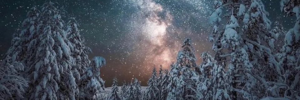 elygrey22's profile banner image