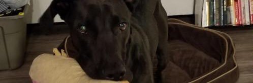 ZakkLade's profile banner image