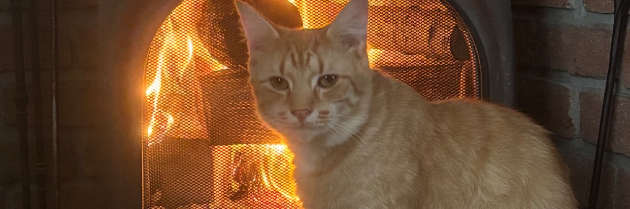 Pixi banner