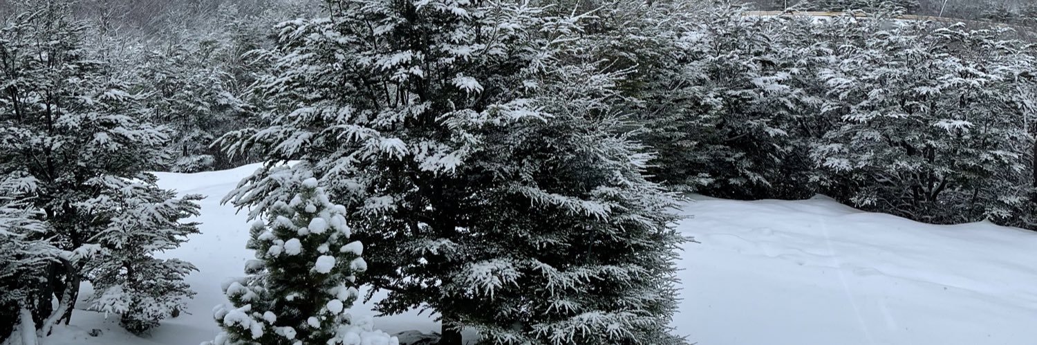 julamotzo's profile banner image