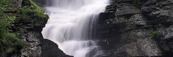 Bernadette Ceaser banner