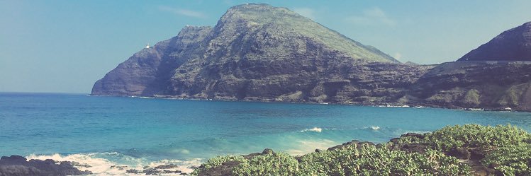 britt_colombo's profile banner image