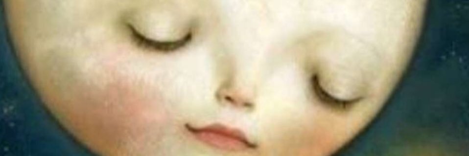 SHbiology's profile banner image
