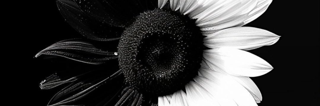 _toota23's profile banner image