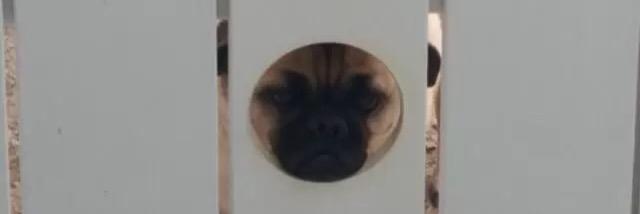PartTimeMexican's profile banner image