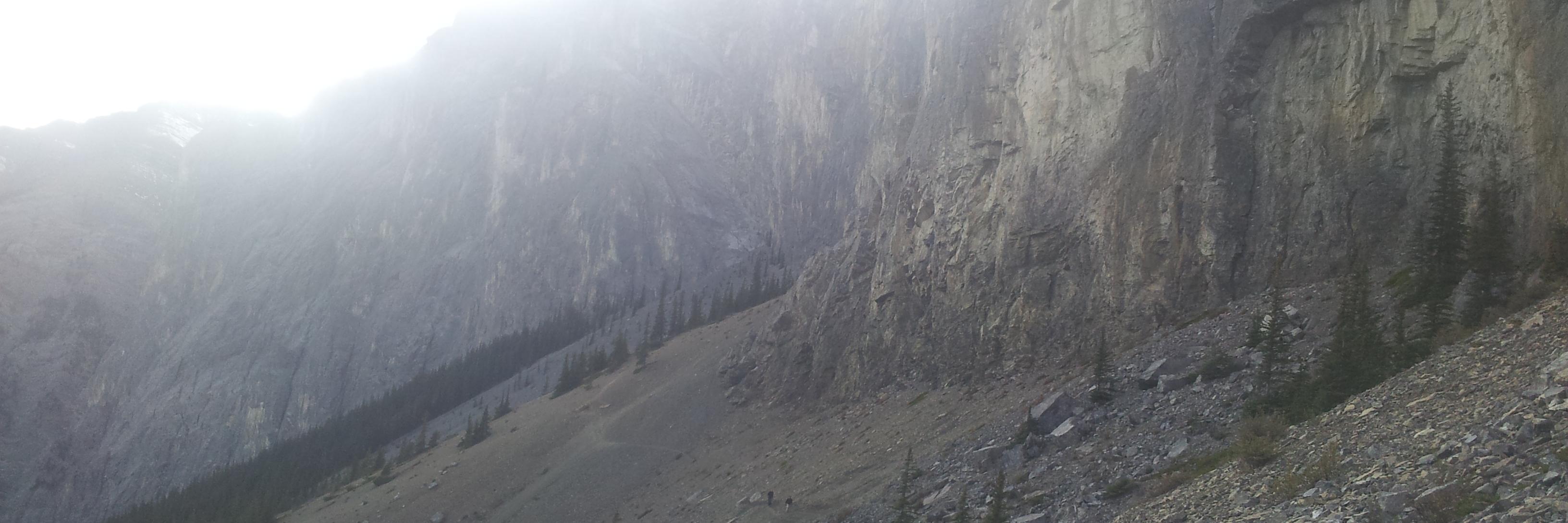 BrianMol's profile banner image