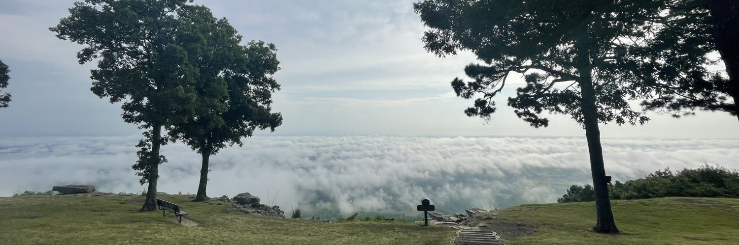hannahrcaple's profile banner image