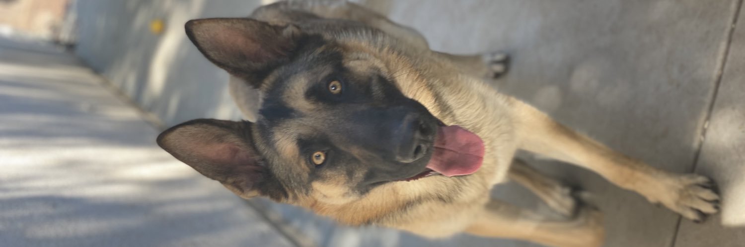 MPerez080's profile banner image
