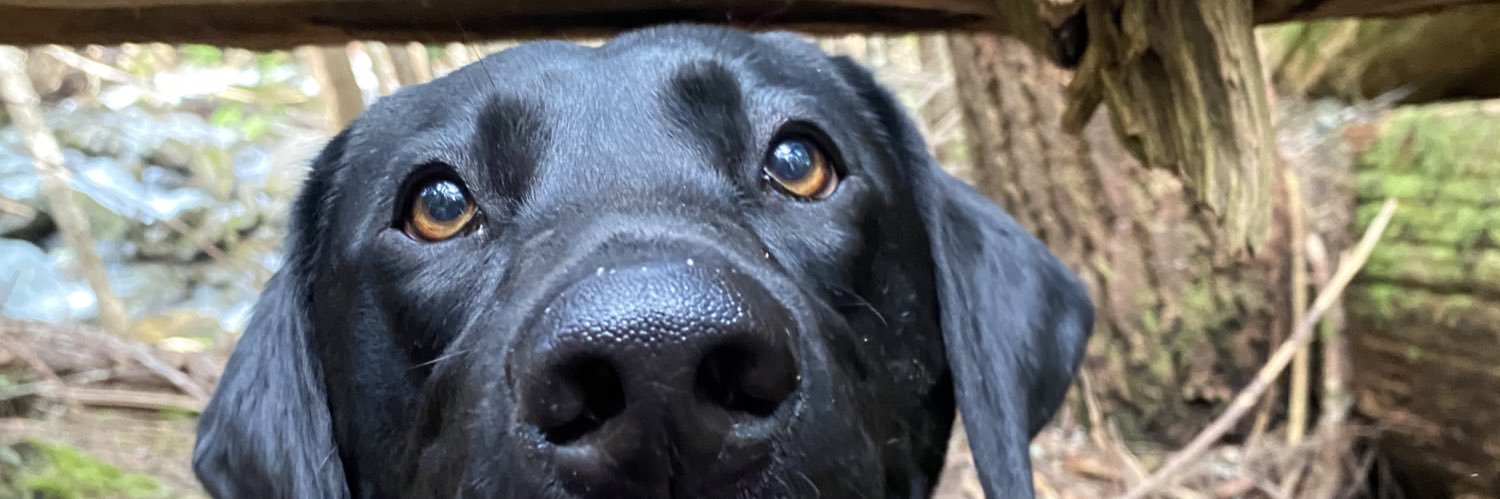 kaileyyyyyyyk's profile banner image