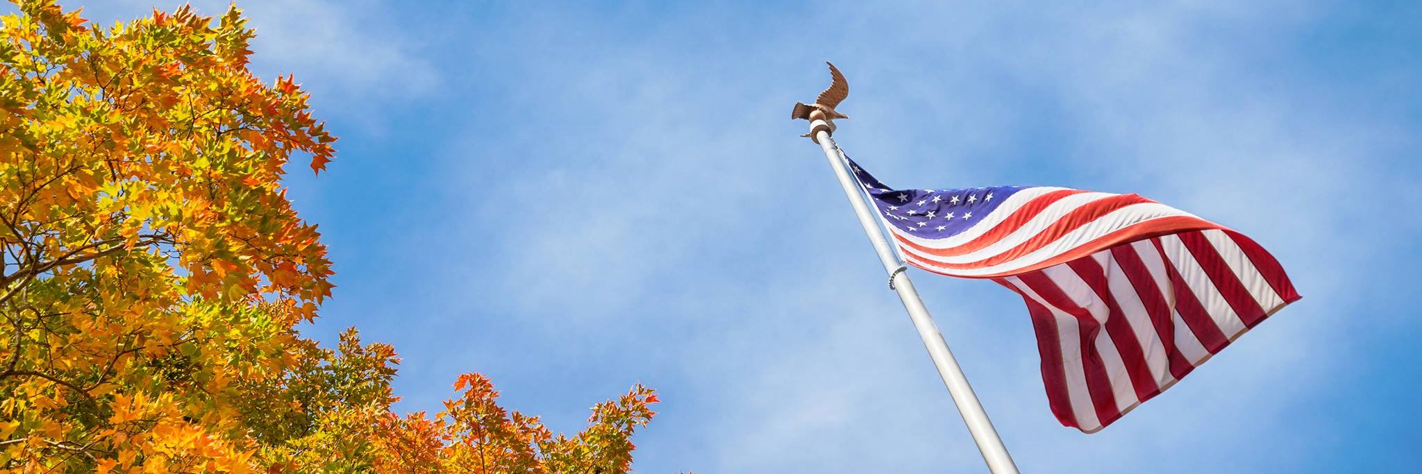 Colonial Flag banner