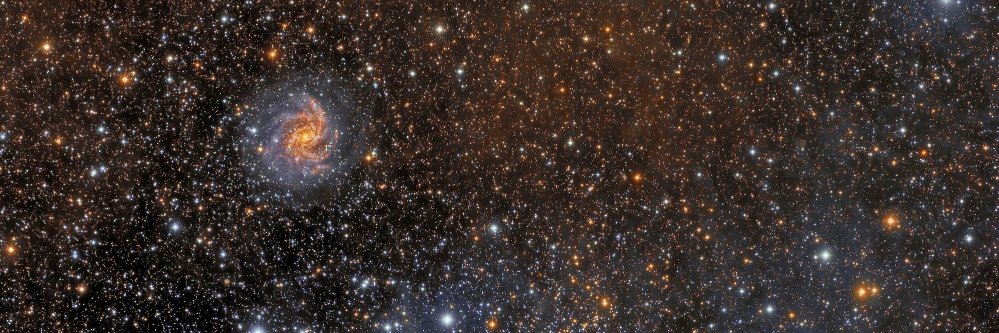 Denise Luciani banner