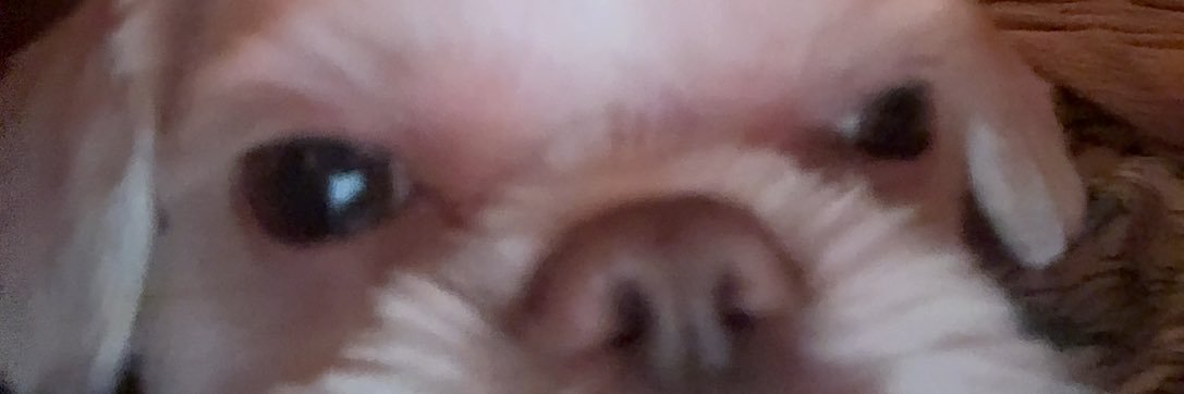 lex_chex23's profile banner image