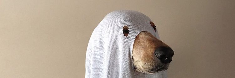eninos's profile banner image