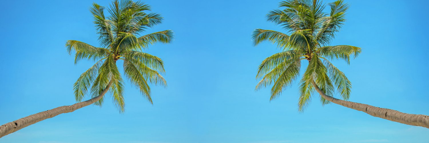 RickyQueenBee's profile banner image