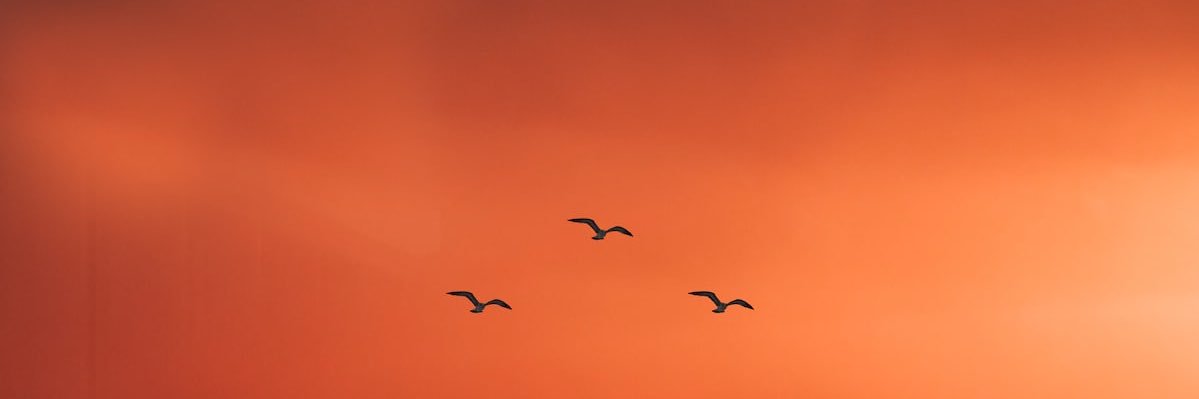 Jxvert's profile banner image