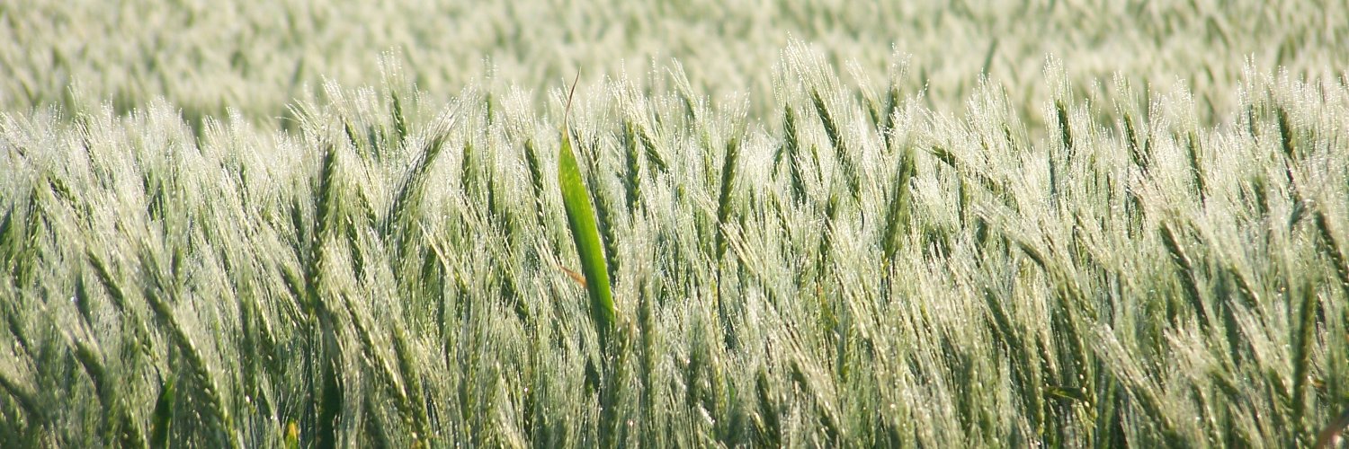 Jayekanan's profile banner image