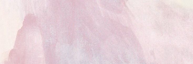 AleeMeed's profile banner image