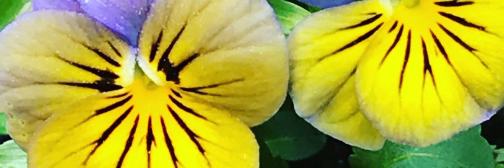 BintaRobinson1's profile banner image
