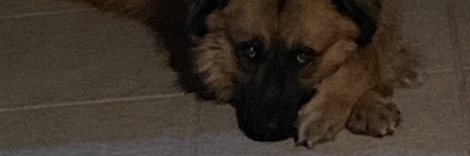 MarshallSuniga's profile banner image