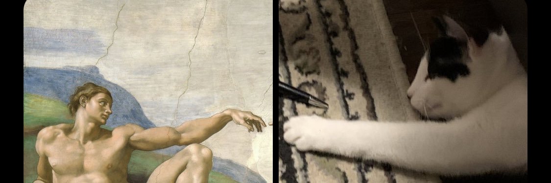 cassidydrew's profile banner image