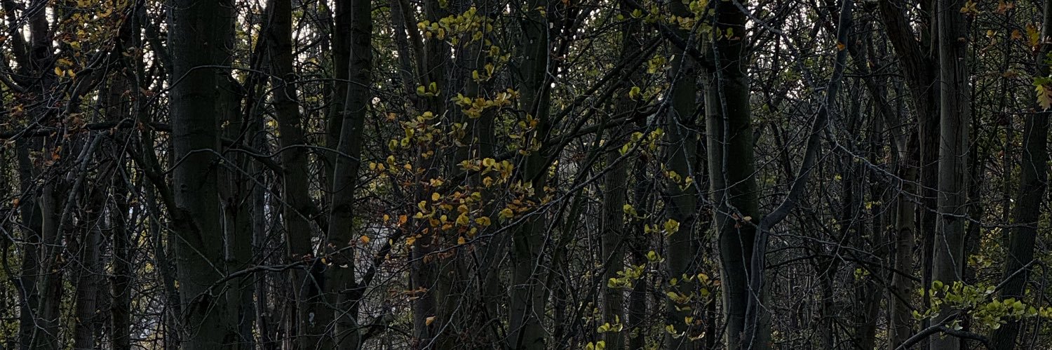 KevinFragaM's profile banner image